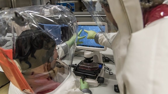 Zwei Personen in Vollschutzanzügen deuten an einem Lichtmikroskop mit den Fingern auf einen Bildschirm