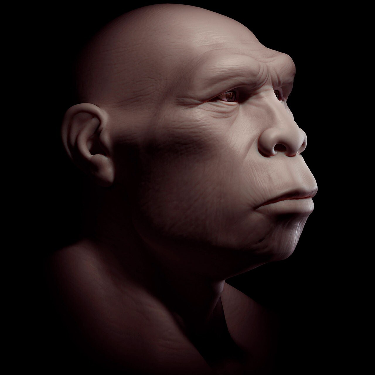 Homo erectus aufrechter Mann Feuer