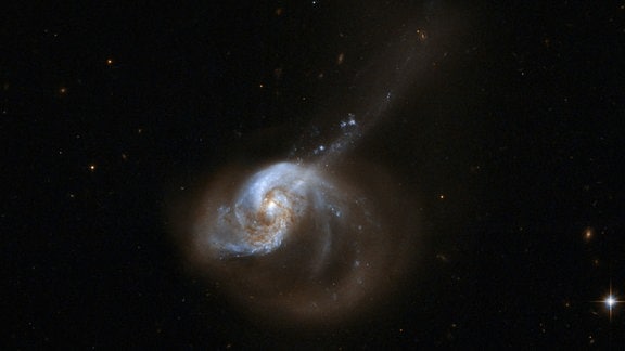 Galaxie NGC 1614