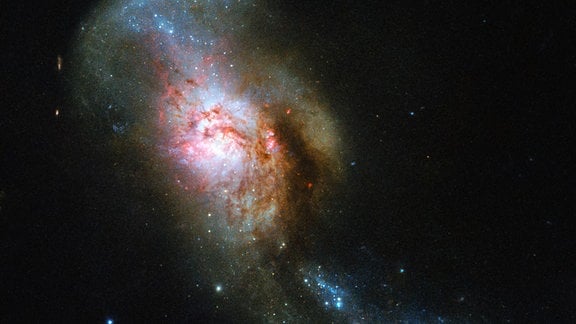 Galaxie NGC 4194