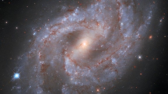 Galaxy NGC 2525/ Hubble Kalender - April