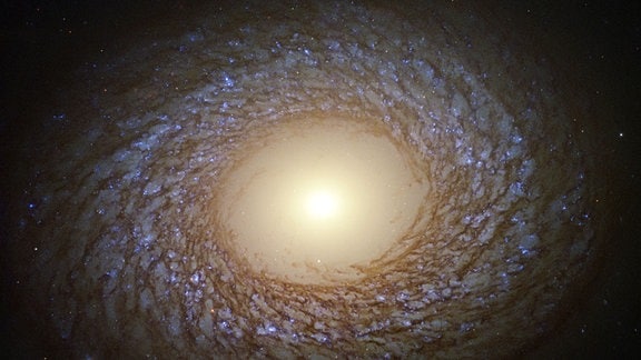 Federartige  Galaxienstruktur: Galaxie NGC 2775/ Hubble Kalender - Dezember