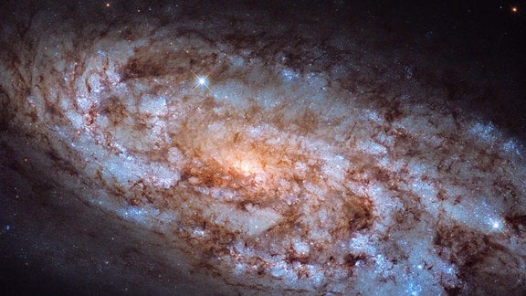 NGC 1792 Herzstück einer Sternschmiede/ Hubble Kalender - September