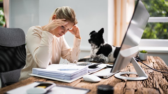 Frau sitzt an einem Schreibtisch vor Computer und Ordner, verzweifelter Blick und Kopf leicht in die Hände gestützt. Im Hintergrund, leicht unschard, sitzt ein wachsamer Hund auf dem Schreibtisch.