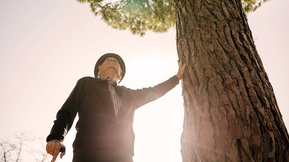 Froschperspektive mit warmen Gegenlichgt: Älterer Mann mit Gehstock, an einen Baum im Park stützend