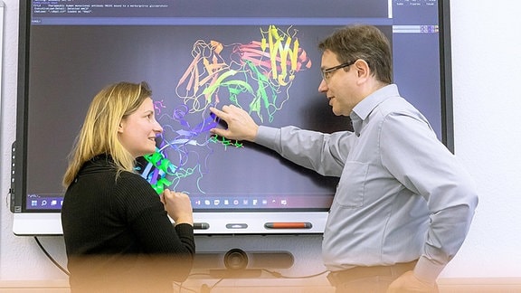 Humboldt-Prof. Jens Meiler und Projektleiterin Dr. Clara Schoeder analysieren Proteinstrukturen.