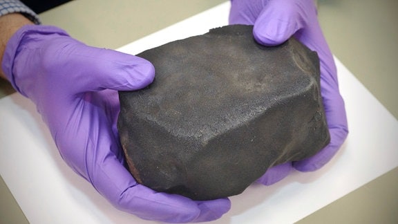 Der größte Teil des Aguas Zarcas Meteoriten im Fields Museum in Chicago