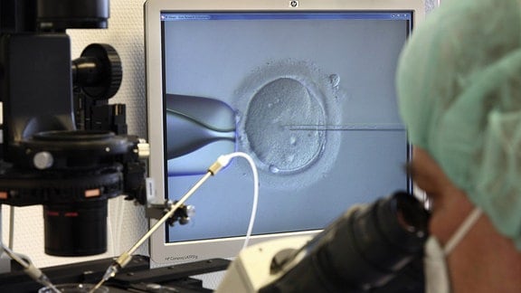 In Vitro Fertilisation und Intrazytoplasmatische Spermieninjektion