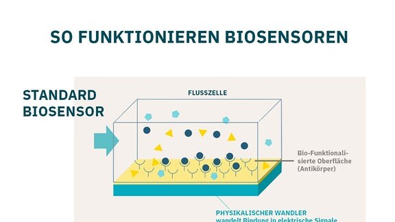 Erklärgrafik für Standard-Biosensoren und FluIDect-Sensorik. 