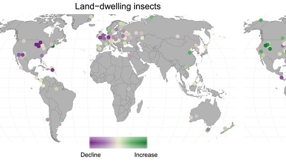 Entwicklung der Insektenbestände: Die Zahle der Landinsekten nimmt ab, die der Süßwasser-Insekten nimmt zu. 