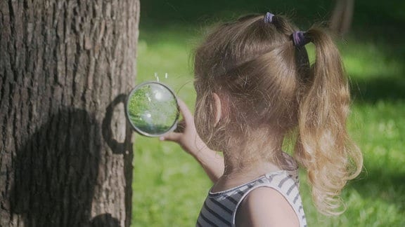 EIn Mädchen schaut durch eine Linse auf Insekten an einem Baumstamm. 