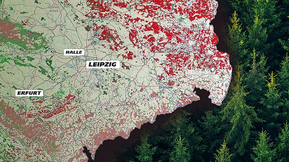 Ein Kartenausschnitt zeigt Mitteldeutschland. In der Karte farblich markiert sind verschiedene Waldtypen.