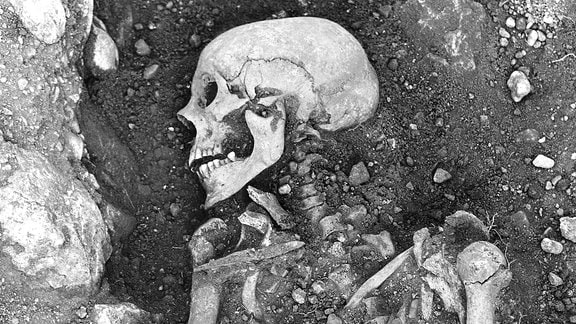 1200 Jahre altes Skelett eines mit Pocken infizierten Wikingers aus Öland Schweden
