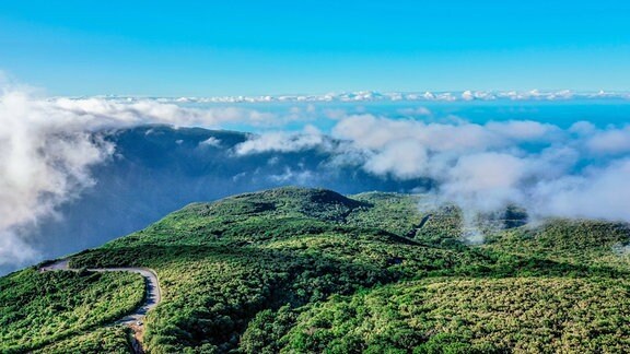 Blick über den Dschungel Madeiras.
