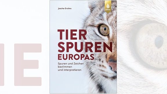 Joscha Grolms: Tierspuren Europas. Spuren und Zeichen bestimmen und interpretieren