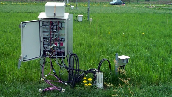 Innenansicht der Kabeldatenloggerbox für das Bodentemperaturmesssystem (Controller Area Network Busmodulsystem) am Versuchsstandort des Jena-Experiments