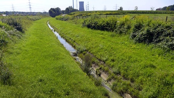 Kanalisierter, mit Betonplatten ausgelegter Emscherzufluss, im, Ruhrgebiet, Dortmund.