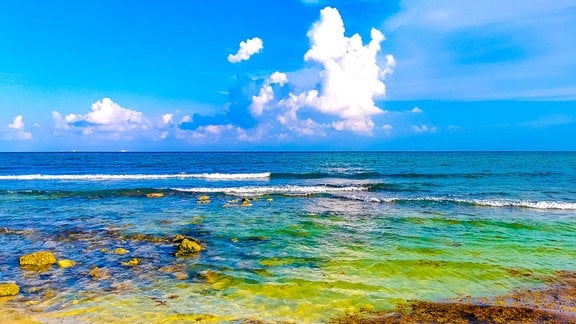 Tropischer Strand in der Karibik