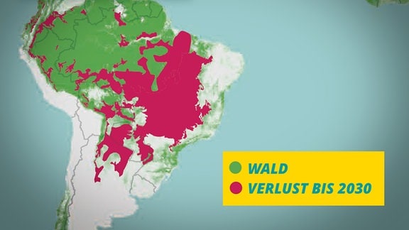 Zwolf Millionen Hektar Tropenwald Sind Weg Mdr De