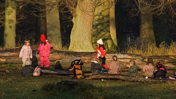 Kinder spielen im Wald.