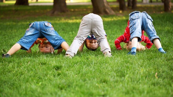 Drei kleine Kinder machen einen Purzelbaum in einem Park.