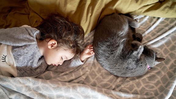 Ein kleines Kind liegt mit einer Katze auf dem Bett und schläft.