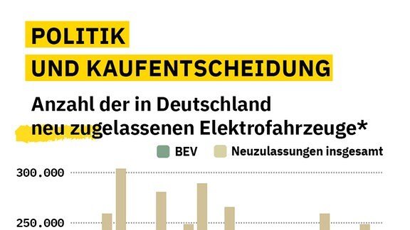 Zahlen der Neuzulassungen von reinen Elektorfahrzeugen und wie sie sich durch die jeweiligen politischen Entscheidungen verändern