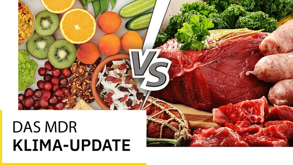 Auf der einen Seite des Bildes ist Gemüse und Obst zu sehen, auf der anderen verschiedene Fleischsorten, dazwischen steht "vs."