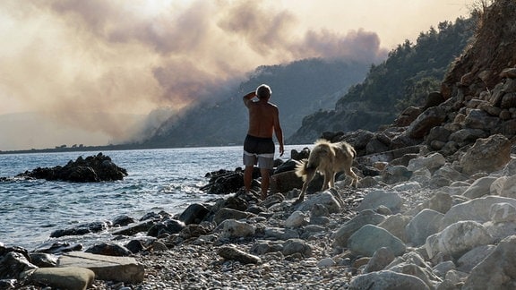 Eine Person in Begleitung von einem Hundsteht am Strand und blickt auf einen Waldbrand in der Ferne.