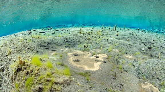 Meeresboden aus Gestein, Sand, sandartigen Sedimenten und Algen in flachem Gewässer mit türkisblauem Wasser. Weitwinkelblick.