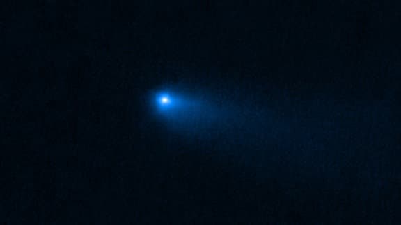 Eine Aufnahme des Kometen 238P/Read im dunklen Weltraum. Dieses Foto stammt von der NIRCam-Kamera des Weltraumteleskopes James Webb.
