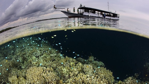 Ein Boot fährt über einem Korallenriff in Indonesien.