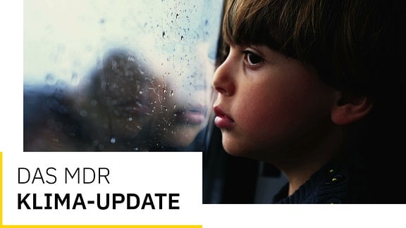 Junge schaut verträumt aus Zugfenster bei Regen und drückt Nase an Glas, Text "Das MDR Klima-Update"
