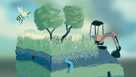 Illustration verschiedener Bodenschichten, mit Bodentieren, Gras, Bäumen, Traktor, Wespe