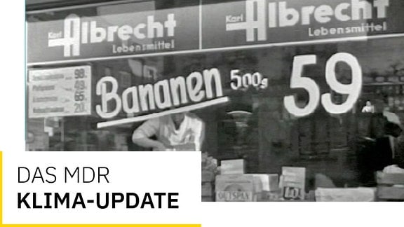 Schwarz-weiß Bild Fenster von Albrecht-Lebensmittel Aldi-Vorgänger 1950er Jahre, Bananen 500g