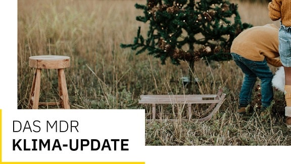 Text Das MDR Klima-Update und Bild: Hocker. Schlitten und leicht beleuchteter Weihnachtsbaum stehen in grau-grünem Gras, daneben Kinder mit Rücken zu Kamera, teilweise gebückt 