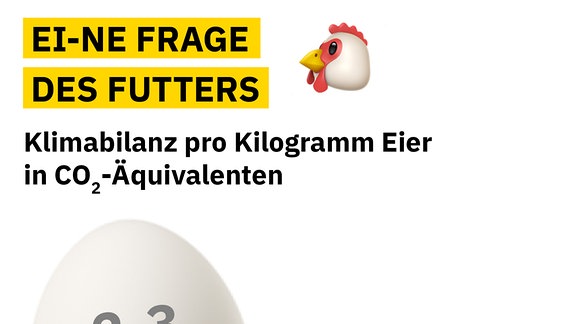 Grafik zeigt durch zwei veschieden große Eier, dass pro Kilo deutsches Durchschnitts-Ei 2 bis 3 Kilo CO2-Äquivalent anfallen, bei einem Ei aus Haltung mit regionalem Soja-Futter 1,5 Kilo
