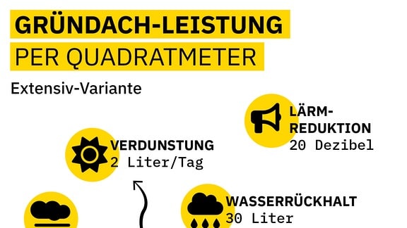 Grafik zeigt Vorteile von einem Quadratmeter Extensiv-Gründach: 2 Liter Verdunstung pro Tag, Lärmreduktion 20 Dezibel, Wasserrückhalt dreißig Liter, Temperatursenkung 1,5 Grad, gut für Artenvielfalt, Feinstaubbindung 10 Gramm pro Jahr, CO2-Aufnahme 800 Gramm