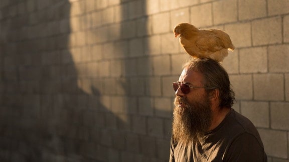 Huhn steht auf Kopf eines Mannes mit Rauschebart und Sonnebrille im Abendlicht