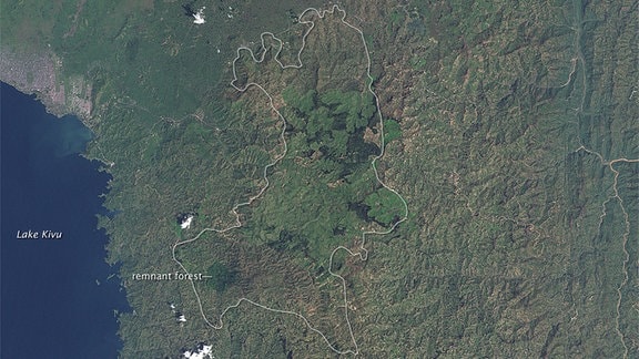 Die Satellitenaufnahmen von Landsat-5 (19. Juli 1986) und Landsat-7 (11. Dezember 2001) zeigen die Abholzung des Regenwaldes in Ruanda, Afrika.