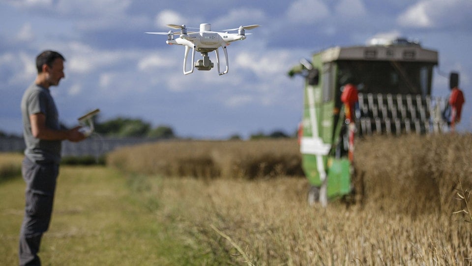 More use of artificial intelligence in agriculture
