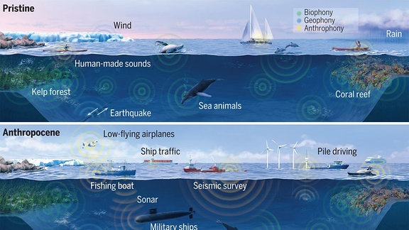 Eine Infografik stellt die menschengemachten Lärmquellen unter Wasser dar und mit welchen Maßnahmen der Lärmpegel gesenkt werden könnte.