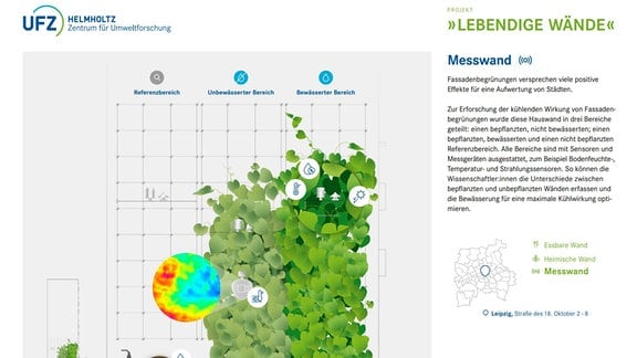 Grafik zum Pflanzenwuchs an Fassaden