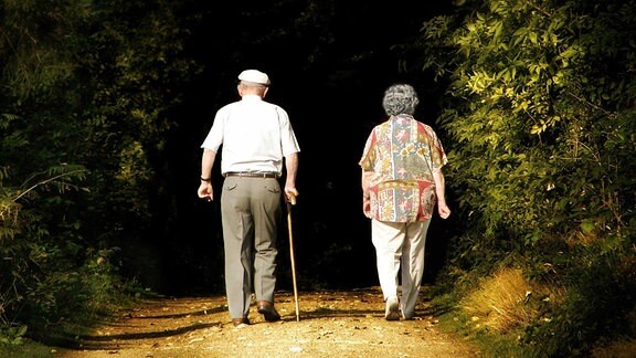 Älterer Mann mit Stock und Schiebermütze und ältere Frau nebeneinander von hinten auf Waldweg, kontrastreiche, dunklere Farben als Vignette um das heller dargestellte Paar, dunkler Hintergrund.