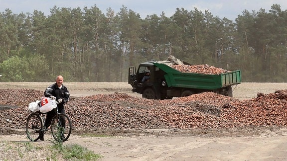 Karotten werden auf einem Feld entsorgt
