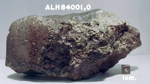 Gestein mit der Bezeichnung Meteorit ALH84001 