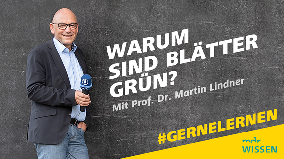 Prof. Dr. Martin Lindner. Schrift: Warum sind Blätter grün? Mit Prof. Dr. Martin Lindner. #GERNELERNEN MDR WISSEN. DGS.