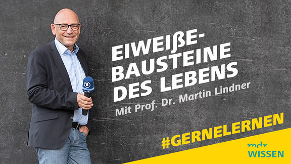 Prof. Dr. Martin Lindner. Schrift: Eiweiße - Bausteine des Lebens. Mit Prof. Dr. Martin Lindner. #GERNELERNEN MDR WISSEN.