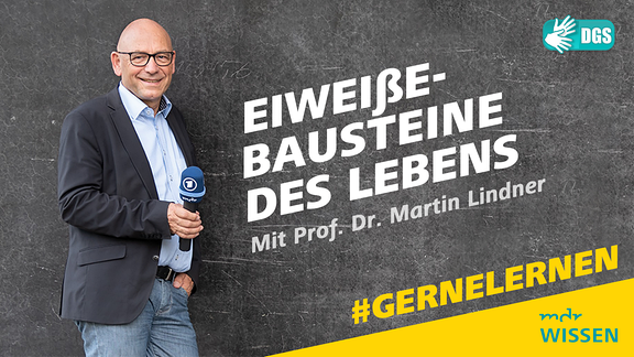 Prof. Dr. Martin Lindner. Schrift: Eiweiße - Bausteine des Lebens. Mit Prof. Dr. Martin Lindner. #GERNELERNEN MDR WISSEN. DGS.