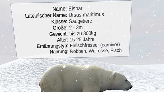 Ein Eisbär mit Infobox in einer Schneelandschaft